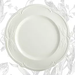 Dinner plates