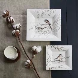 Oiseaux de la Forêt