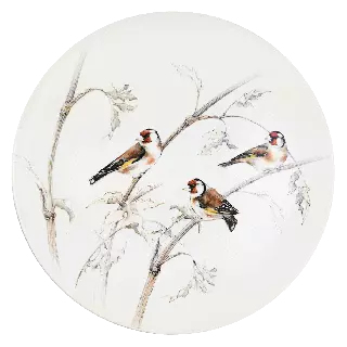 C 1 PLAT A GATEAUX OISEAUX FORET