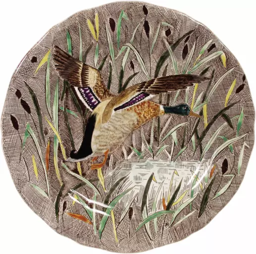 Dinner plate duck - Rambouillet