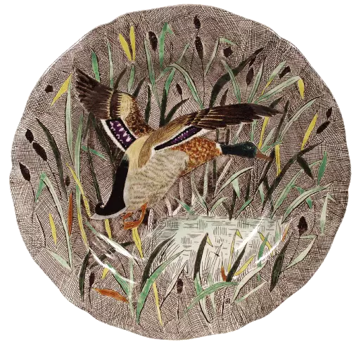 Rim soup Duck - Rambouillet 