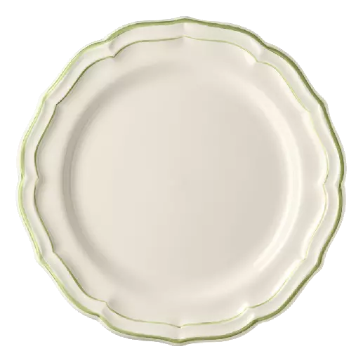 Box of 4 dinner plates - Filet Green