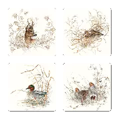 Coffret de 4 dessous de verres - Sologne
