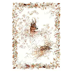 Coffret de 2 torchons - Sologne