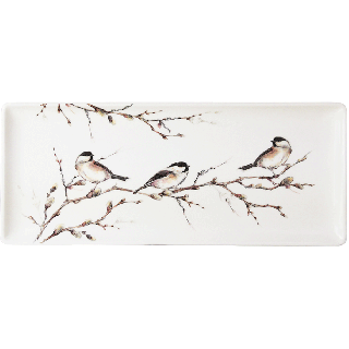 C 1 PLAT CAKE OISEAUX FORET