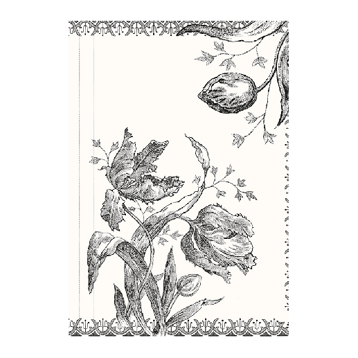 Notebook - Tulipes