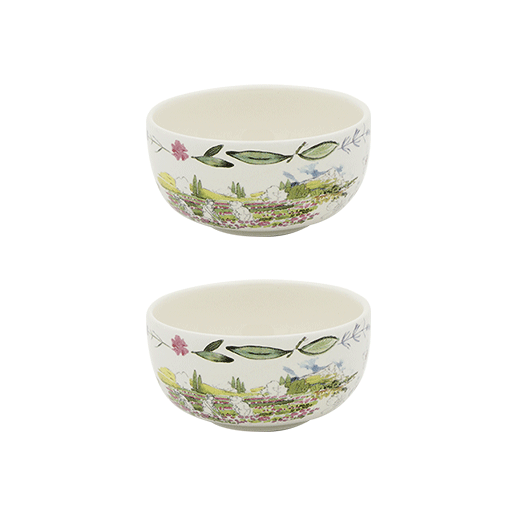 Set of 2 cocktail bowls - Provence