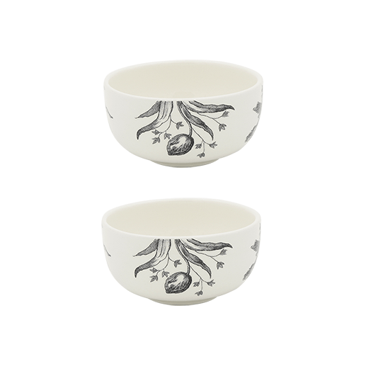 Coffret de 2 bols cocktails