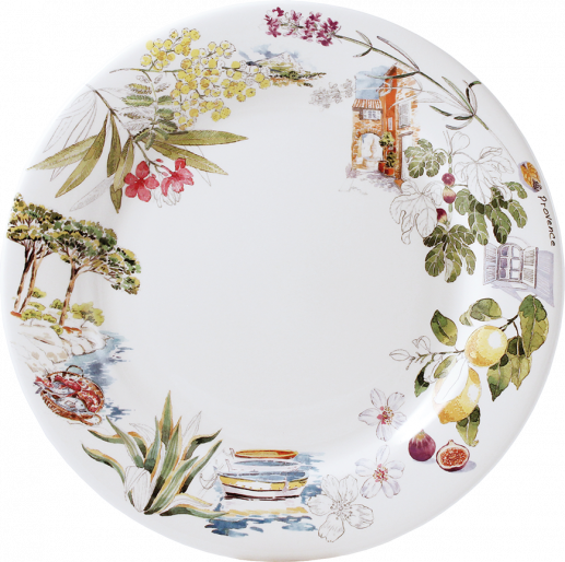 Box of 4 dinner plates - Provence