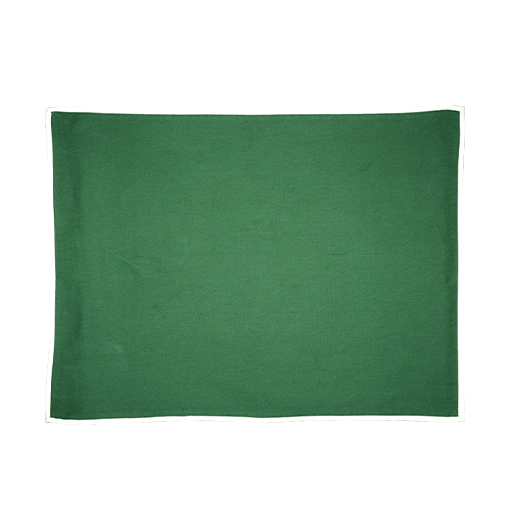 Set of 2 plain green placemats