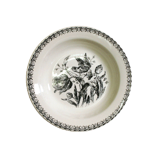 Box of 4 rim soup plates - Tulipes