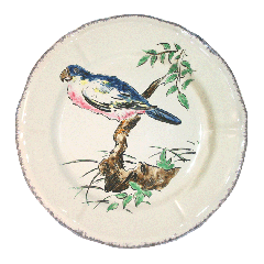 Assiette plate perroquet - Grands Oiseaux - Ø 26,3 cm