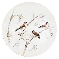 C 1 PLAT A GATEAUX OISEAUX FORET