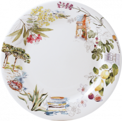 Box of 4 dinner plates - Provence