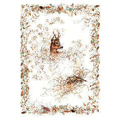 Coffret de 2 torchons - Sologne