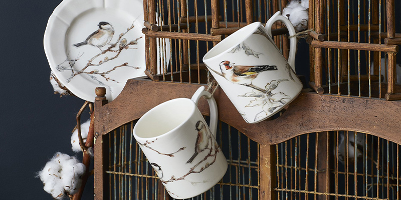 tasses-oiseaux-de-la-foret